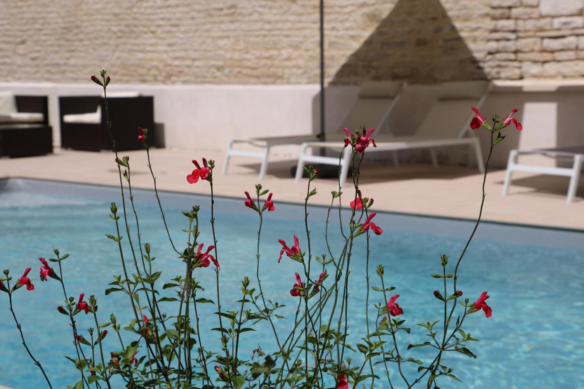 La Villa Lombardi En Champagne, Avec Piscine Privee Et Jacuzzi Les Riceys Ngoại thất bức ảnh